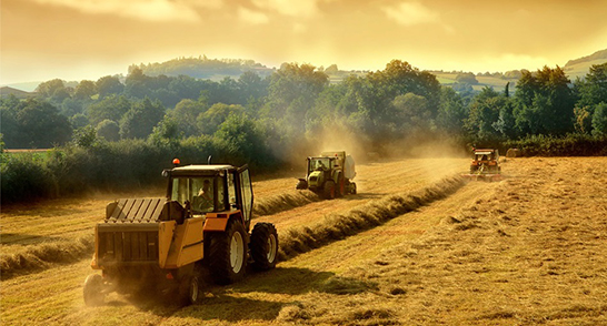 Landwirtschaft Deutschland